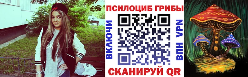Галлюциногенные грибы MAGIC MUSHROOMS  купить наркотик  Кремёнки 